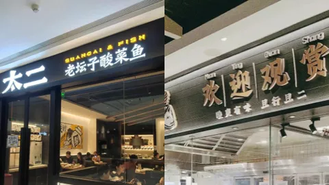 太二酸菜鱼预制鱼