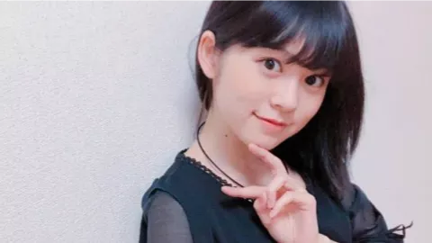 目击始祖鸟烟花秀