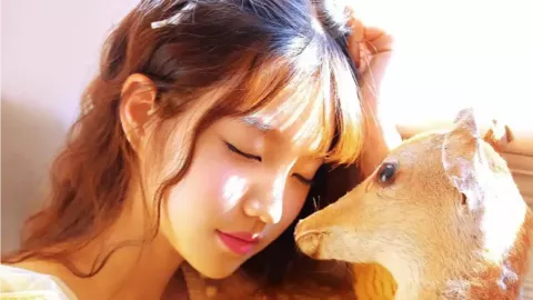 虎门大桥封闭维修传言不实