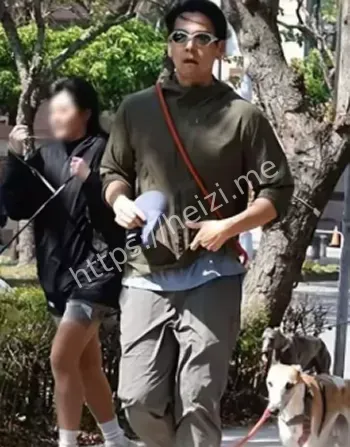 娱乐圈恋情