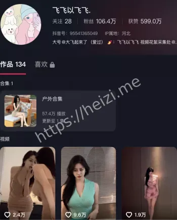 飞飞以飞飞