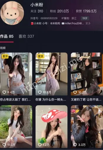 小米粉