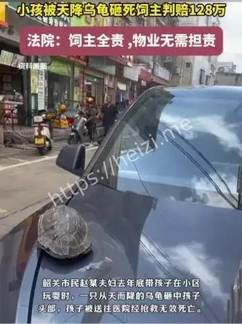 高空坠物
