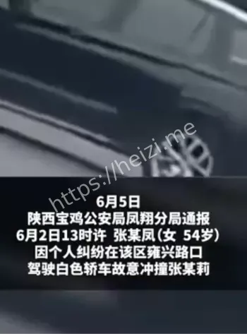 最牛女书记