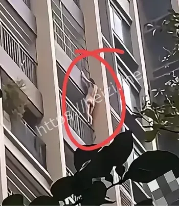 捉奸惨案
