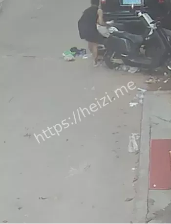 虐猫事件