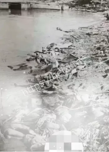 社会热议