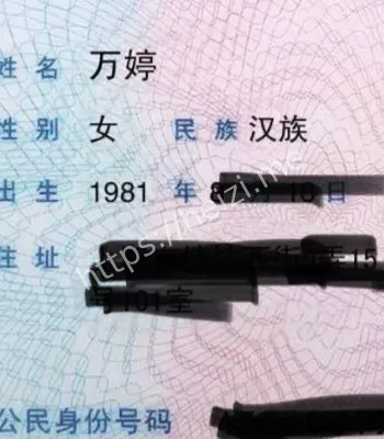 万婷