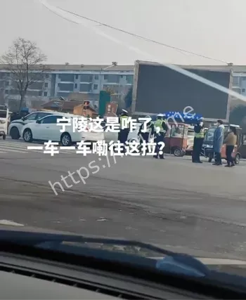 杨刘洋