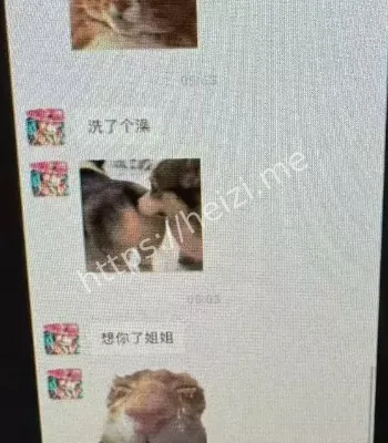 偷情截图