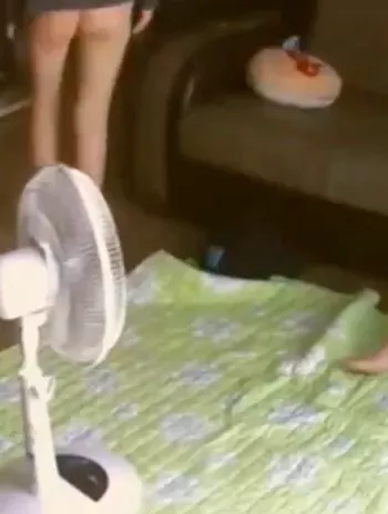 道德教育
