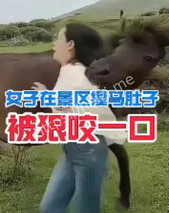 马匹敏感区