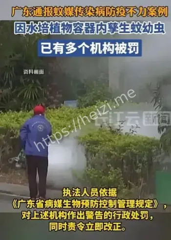 基孔肯雅热