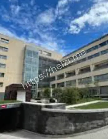 协和董小姐事件