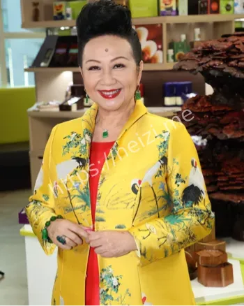 薛家燕被小17岁男友骗2亿