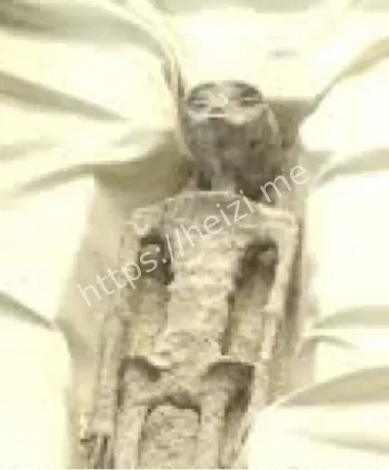 纳斯卡外星人干尸