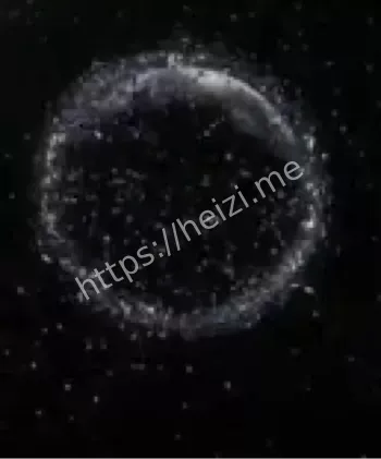星链网络中断
