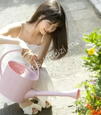 王莉霞被查