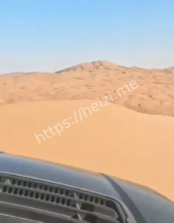 宁夏网红二狗