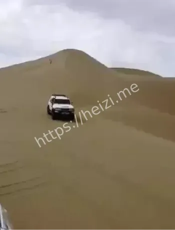 宁夏网红二狗
