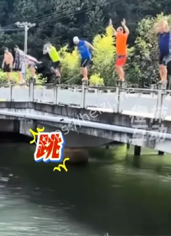 桥梁护栏倒塌