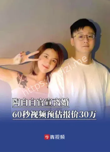 陶白白
