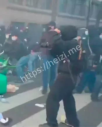 反马克龙游行