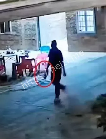 廉江祖孙三口命案