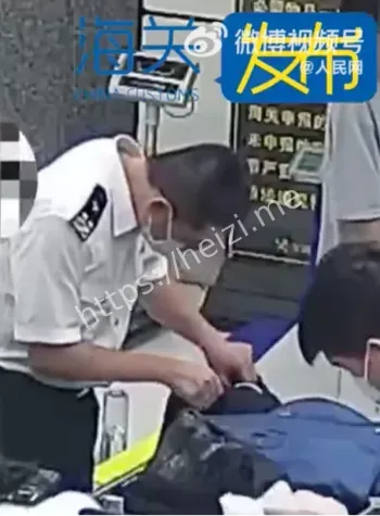 深圳湾海关查获案件