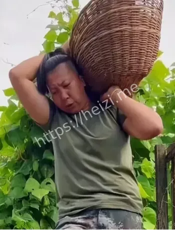 网红经济乱象揭秘