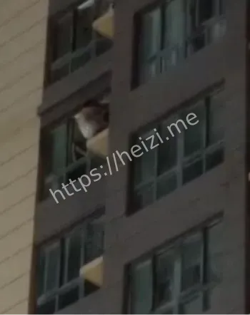 亲密关系冲突