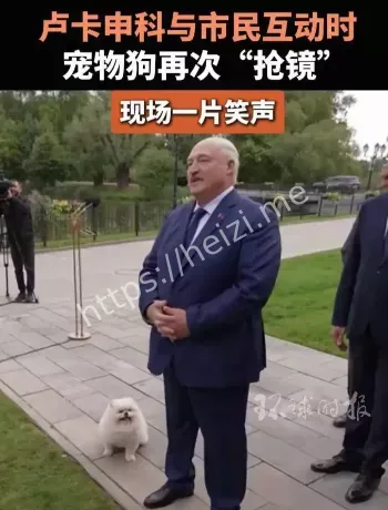 卢卡申科乌姆卡抢镜