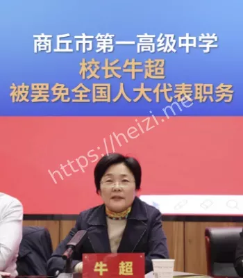 校长人大罢免