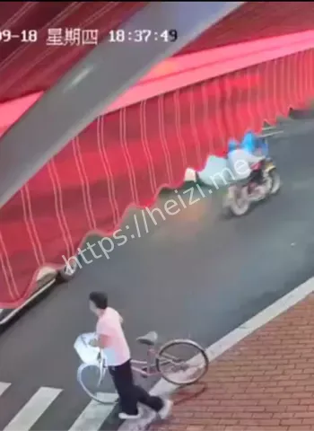 电动车摔头部身亡原因