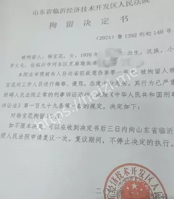 农村农妇轻伤赔偿纠纷