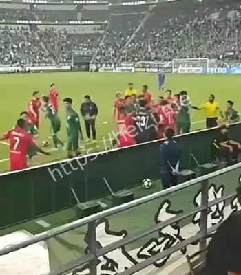 球迷水瓶
