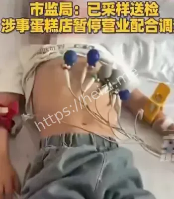 沙门氏菌污染