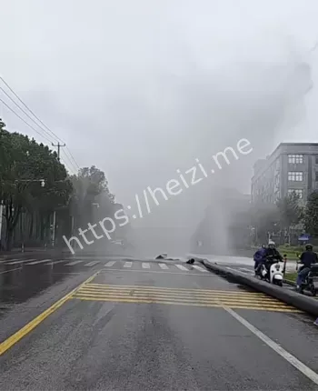 豪仑科化工企业背景