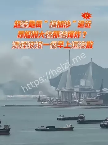 回收场杂物起火成因