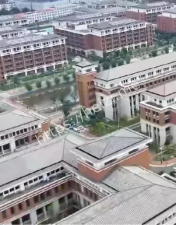 实习过度劳累质疑