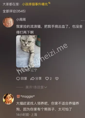 儿童暴力天生坏种论