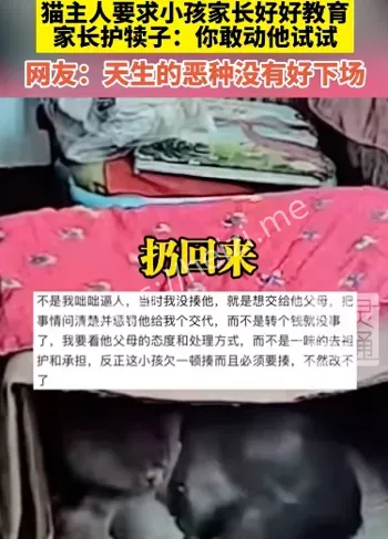 室内装修良浩小孩摔猫