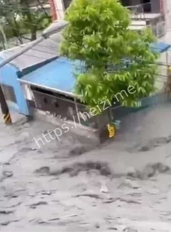 桦加沙台风登陆台湾