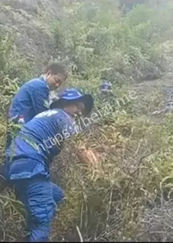 象鼻岩