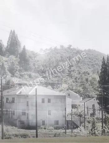 真实灵异事件曝光