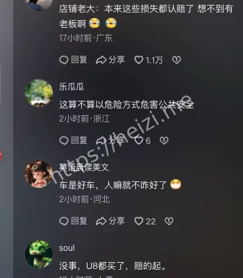 豪车司机任性酿祸