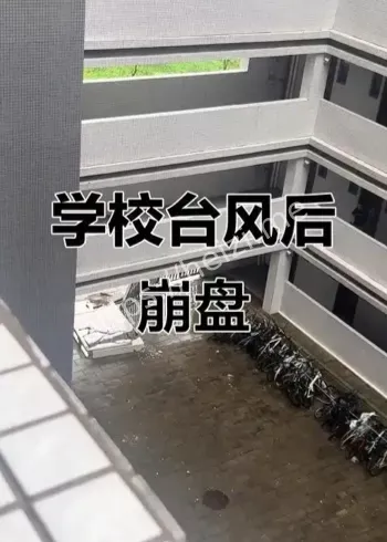 广东学校台风坍塌谣言