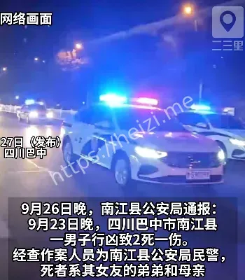 四川刑事案件