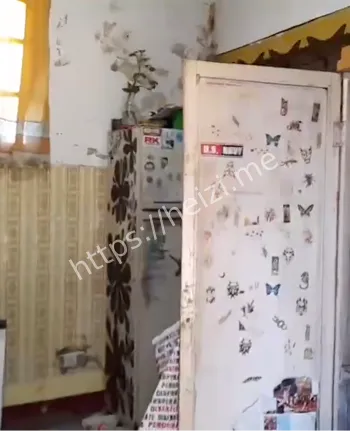 阿根廷女性杀戮事件始末