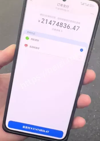 四川眉山瓦屋山天价停车费